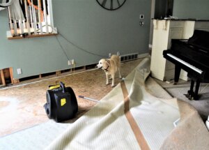 Waterproofing / Damp Proofing Basement Spaces