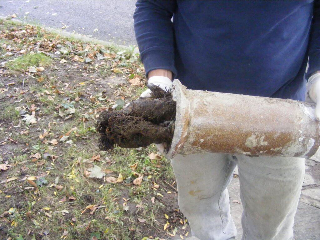 heavy root intrusion in drain