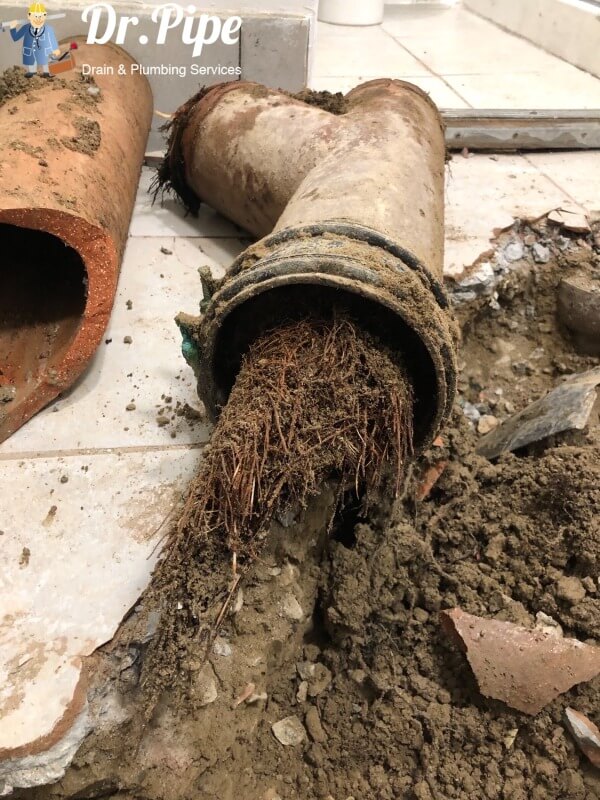 Old drain and pipe repair